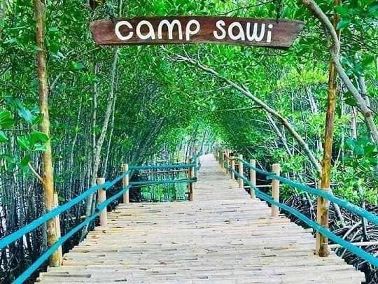 Wooden boardwalk through mangroves at Camp Sawi, Bantayan Island.