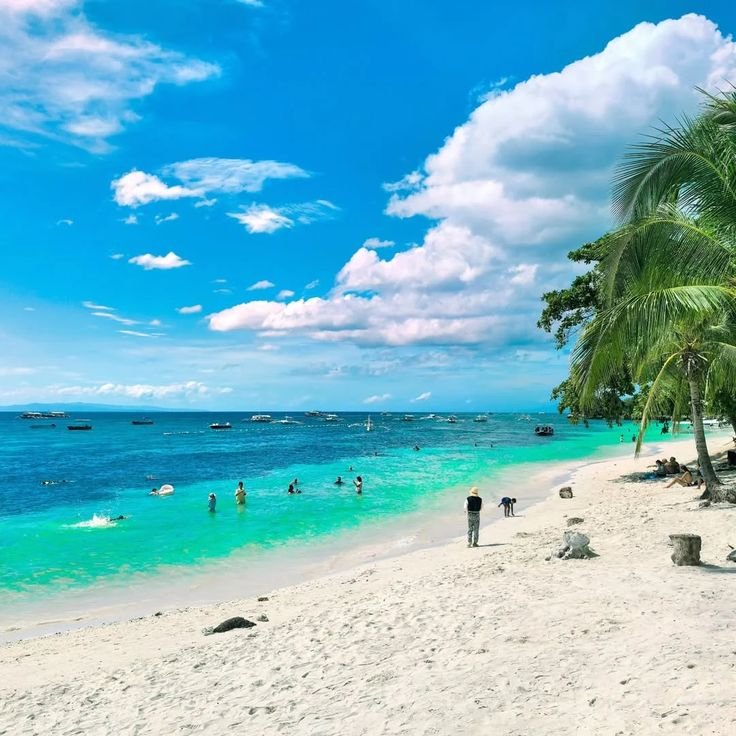 Bohol White sand beach with turquoise water and palm trees in Panglao, Bohol.