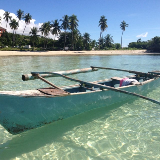 Traditional outrigger boat floating on clear shallow water near a palm-lined beach.